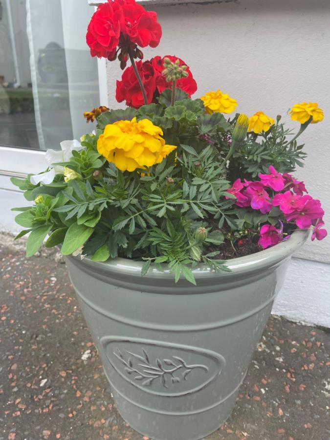 Unique Belfast Stay מראה חיצוני תמונה